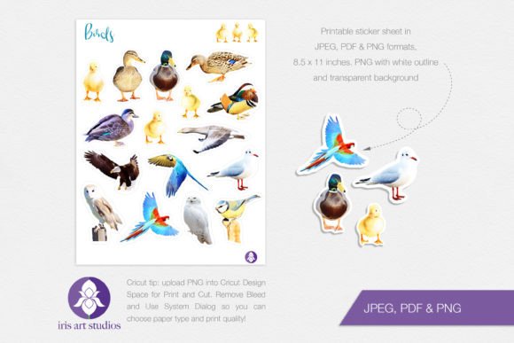 Download Printable Birds Stickers, Realistic Bird - Realistic bird Collection