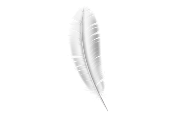 Download Realistic Bird Feather. White Fluffy Lig - Realistic bird Collection